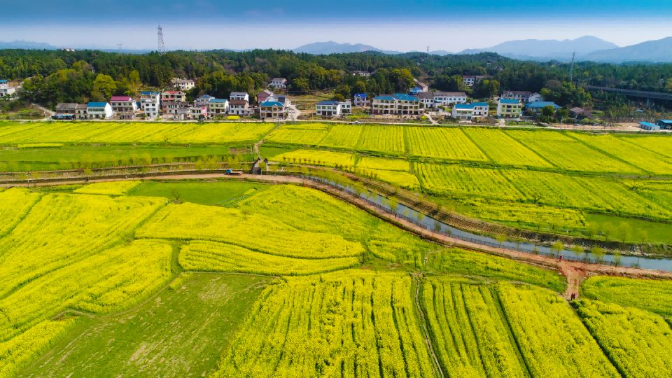 《南(nán)嶽區南(nán)嶽鎮紅星片區田園綜合體(tǐ)項目申報材料》編制