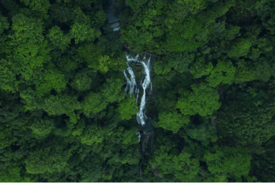 政策圖解 ｜ 文旅部資(zī)源司關于旅遊景區質量等級管理的“答疑